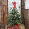 Best 4 ft. Fresh Fraser Fir Christmas Tree with Stand Christmas Trees