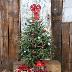 Best 4 ft. Fresh Fraser Fir Christmas Tree with Stand Christmas Trees