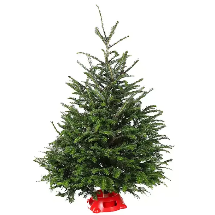 Best 4 ft. Fresh Fraser Fir Christmas Tree with Stand Christmas Trees