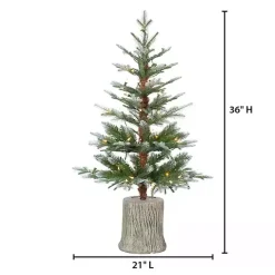 3 ft. Pre-Lit Cut Frosted Pine Christmas Tree Christmas Arrangements & Garland