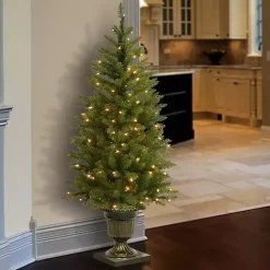 Best 4 ft. Pre-Lit Dunhill Fir Potted Christmas Tree Christmas Trees