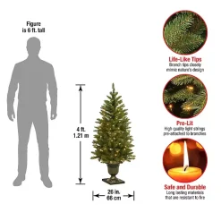 Best 4 ft. Pre-Lit Dunhill Fir Potted Christmas Tree Christmas Trees