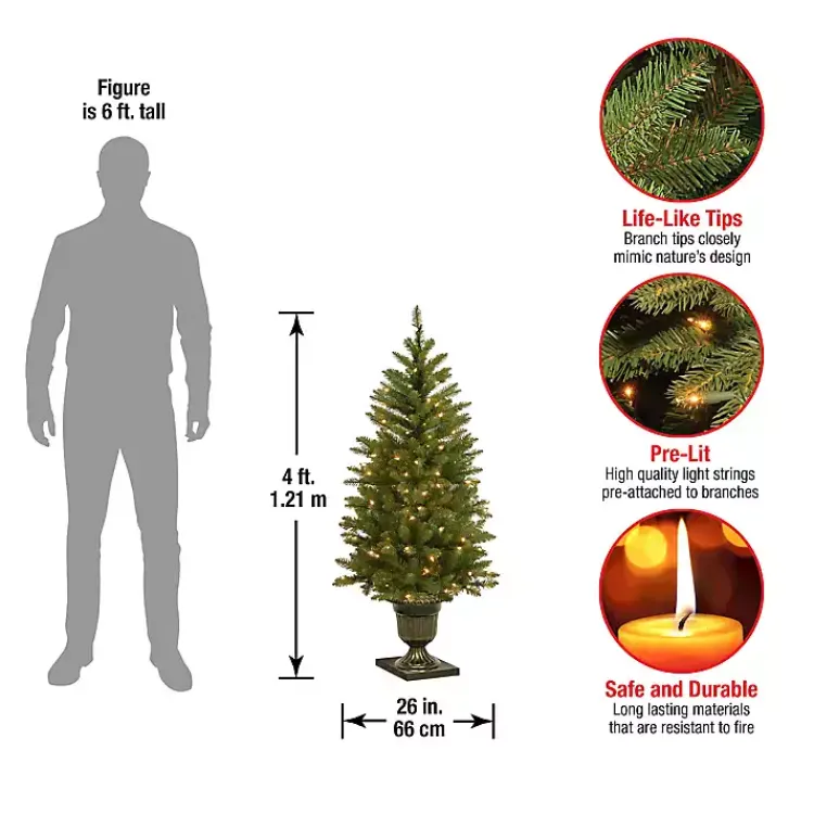 Best 4 ft. Pre-Lit Dunhill Fir Potted Christmas Tree Christmas Trees
