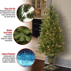 Best 4 ft. Pre-Lit Dunhill Fir Potted Christmas Tree Christmas Trees