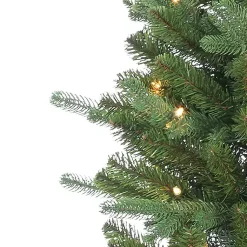 6.5 ft. Pre-Lit Narrow Dover Pine Christmas Tree Christmas Trees