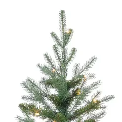 6.5 ft. Pre-Lit Narrow Dover Pine Christmas Tree Christmas Trees