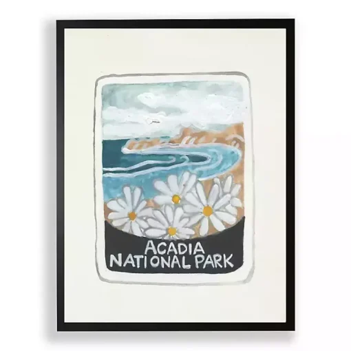 Kirklands Home Framed Art|Acadia National Park Framed Art Print