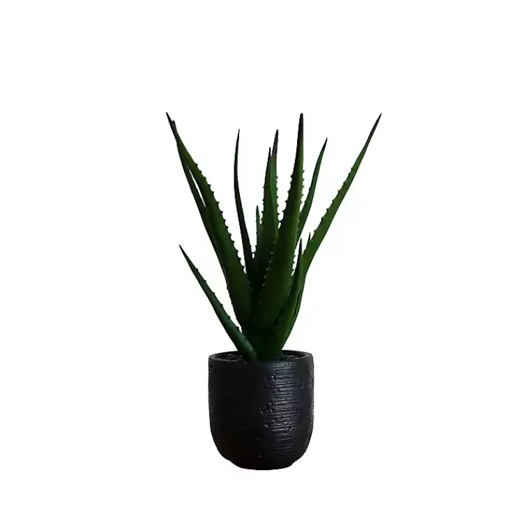 Online Agave Arrangement in Black Decorative Pot Arrangements & Greenery