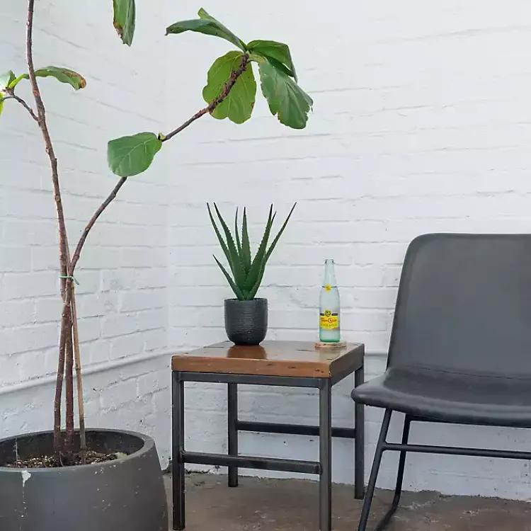 Online Agave Arrangement in Black Decorative Pot Arrangements & Greenery