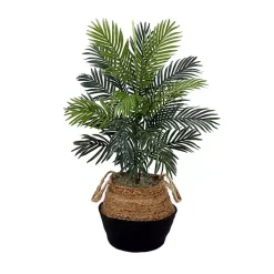 Outlet Areca Palm Tree in Woven Basket DIY Kit, 3 ft. Trees & Topiaries