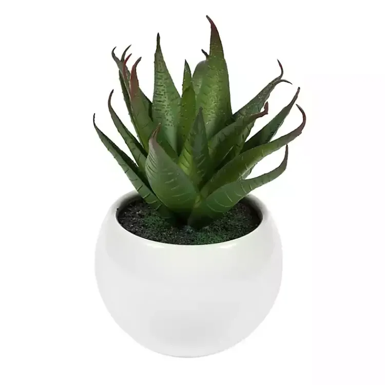 Online Assorted Succulents in White Planters, Set of 3 Arrangements & Greenery
