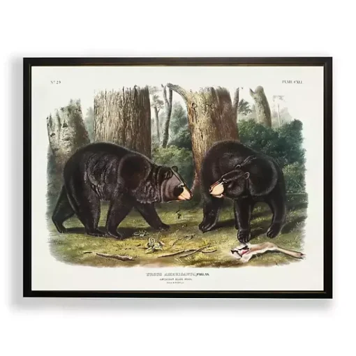 Kirklands Home Framed Art|Audubon Woodland Bears Framed Art Print