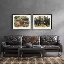 Kirklands Home Framed Art|Audubon Woodland Bears Framed Art Print