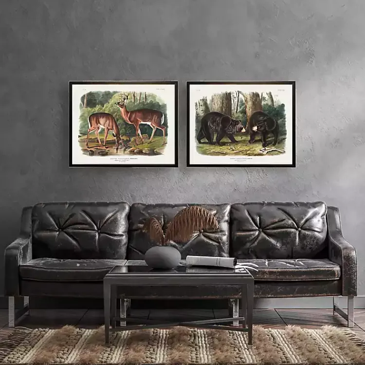 Kirklands Home Framed Art|Audubon Woodland Bears Framed Art Print