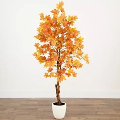 Hot Autumn Maple Double Trunk Tree, 5 ft. Trees & Topiaries