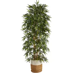 Sale Bamboo Tree in Woven Basket, 6 ft. Trees & Topiaries