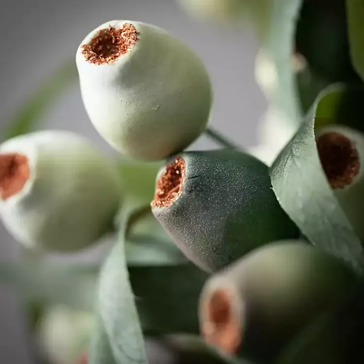 Online Berry Pod Stems, Set of 3 Stems & Bouquets