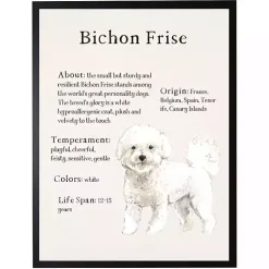 Kirklands Home Wall Quotes & Signs|Bichon Frise Facts Framed Wall Plaque