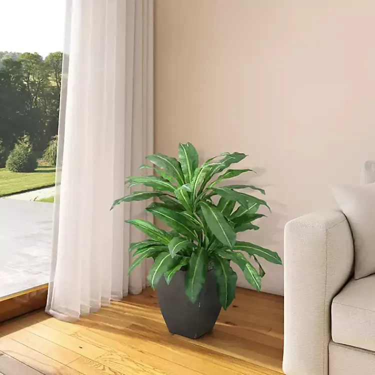 Best Birdnest Palm Tree in Black Planter Trees & Topiaries