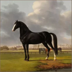 Kirklands Home Canvas Art|Black and White Horse Framed Canvas Art Print