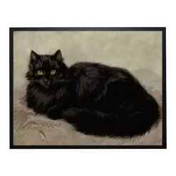 Discount Cat Loaf Framed Halloween Wall Plaque Halloween