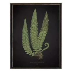 Kirklands Home Framed Art|Black Fern I Framed Art Print