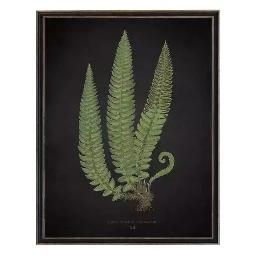Kirklands Home Framed Art|Black Fern I Framed Art Print