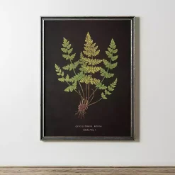 Kirklands Home Framed Art|Black Fern V Framed Art Print