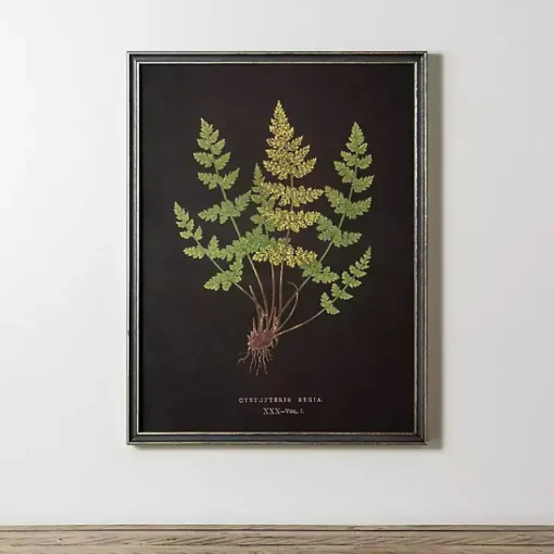 Kirklands Home Framed Art|Black Fern V Framed Art Print