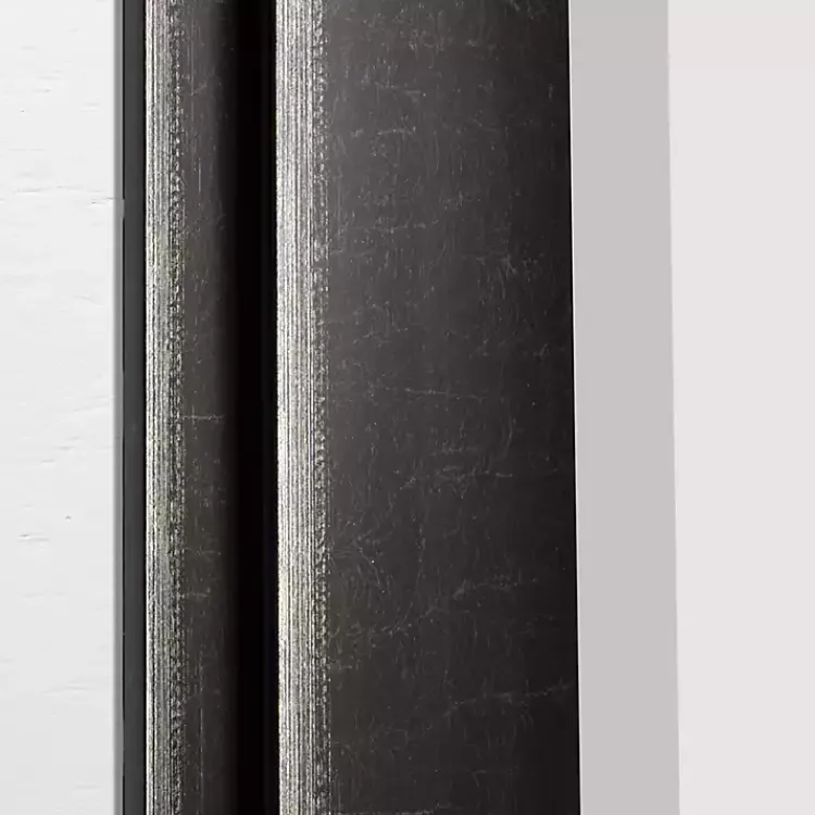 Kirklands Home Framed Mirrors|Black Two Step Beveled Frame Vanity Mirror