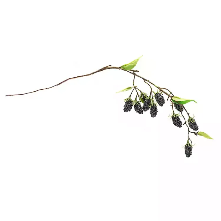 Best Blackberry Vine Sprays, Set of 6 Stems & Bouquets