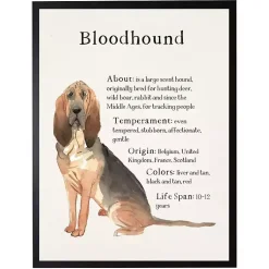 Kirklands Home Wall Quotes & Signs|Bloodhound Facts Framed Wall Plaque