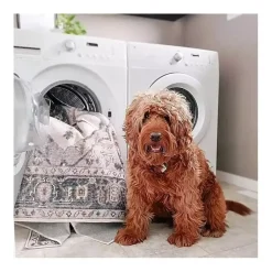 Kirklands Home Area Rugs|Blue Geometric Pattern Washable Area Rug, 3x5