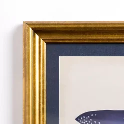Kirklands Home Framed Art|Blue Stingray Framed Art Print