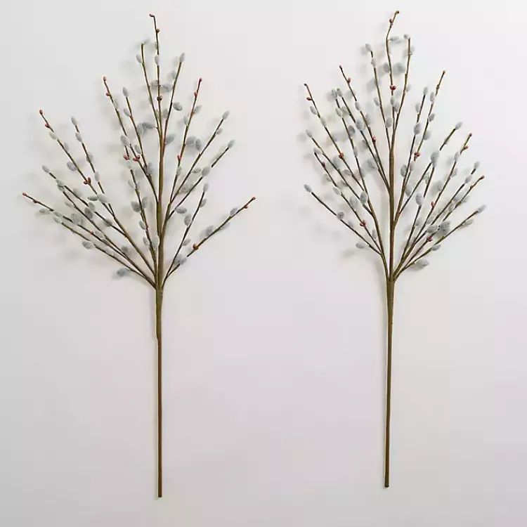 Discount Willow Stems, Set of 2 Stems & Bouquets