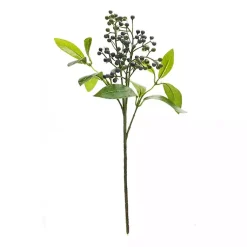 Outlet Blueberry Foliage Sprays, Set of 6 Stems & Bouquets