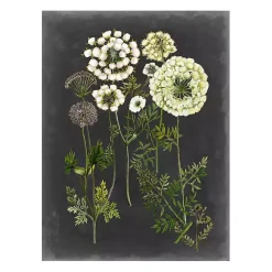 Kirklands Home Canvas Art|Bookplate Floral II Giclee Canvas Art Print