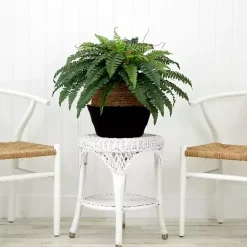 Clearance Boston Fern Arrangement in Woven Basket DIY Kit Arrangements & Greenery