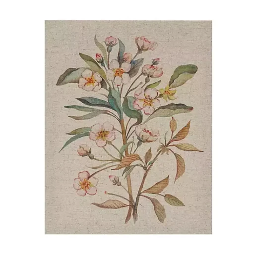 Kirklands Home Canvas Art|Botanical Linen Art Prints, Set of 3 Multi
