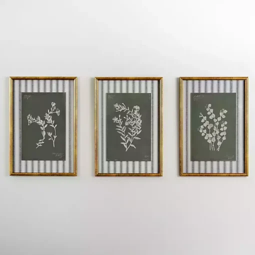 Kirklands Home Framed Art|Botanical Stripes I Framed Art Print