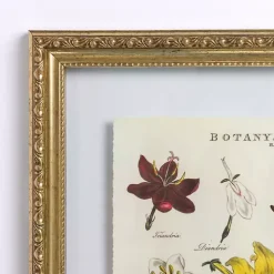 Kirklands Home Framed Art|Botany Gold Framed Art Print