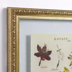 Kirklands Home Framed Art|Botany Gold Framed Art Print