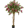 Hot Bougainvillea Tree, 5.5 ft. Trees & Topiaries
