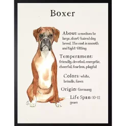 Kirklands Home Wall Quotes & Signs|Boxer Facts Framed Wall Plaque White