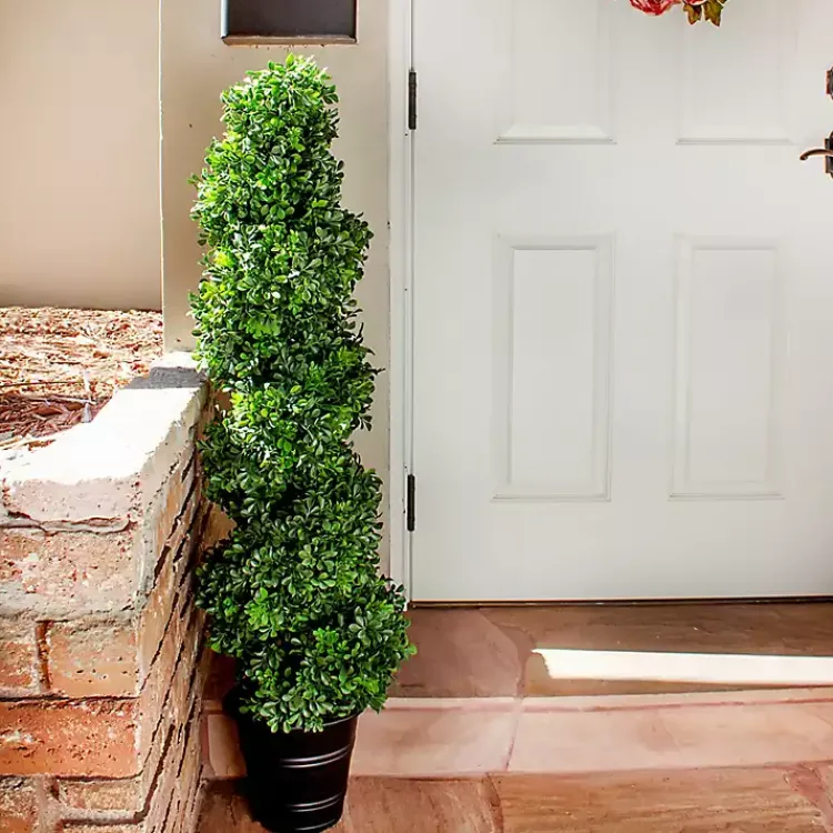 Boxwood Spiral Topiary, 48 in. Trees & Topiaries