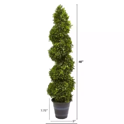 Boxwood Spiral Topiary, 48 in. Trees & Topiaries