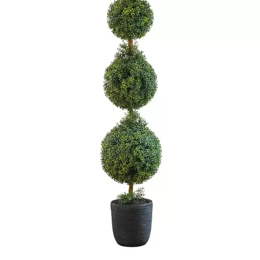 Clearance Boxwood Triple Topiary in Decorative Black Pot Trees & Topiaries