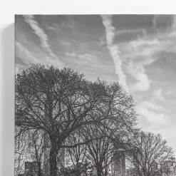 Kirklands Home Canvas Art|Bridge in Central Park Canvas Art Print Gray