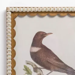 Kirklands Home Framed Art|Brown Birds Scalloped Framed Art Print