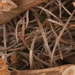 Maple Leaves Wreath Wreaths